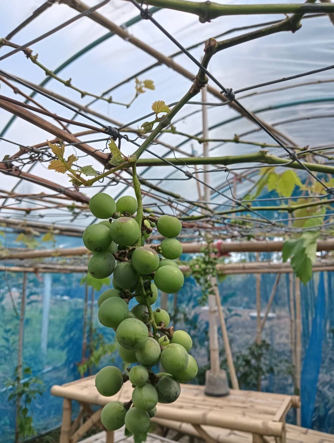 title - หัวหน้าผู้ตรวจราชการ ส.ป.ก. (เขต 3,15 และ 16) ประชุมตรวจติดตามความก้าวหน้าการดำเนินงานตามแผนงานตรวจราชการ ประจําปีงบประมาณ 2569 รอบที่ 1 ณ จังหวัดสุพรรณบุรี